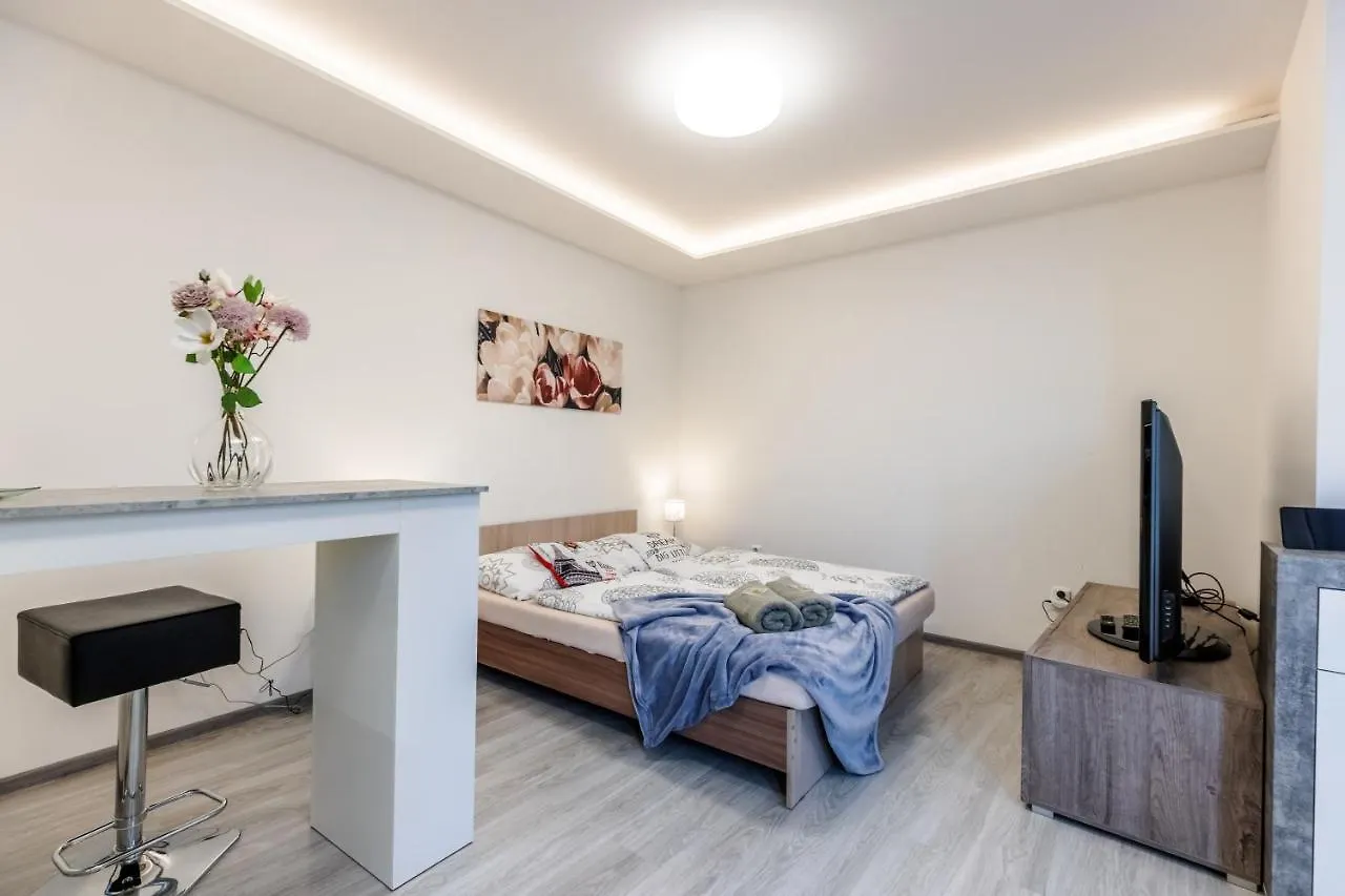 Apartia Skorepka 15, Brno-Center Apartment